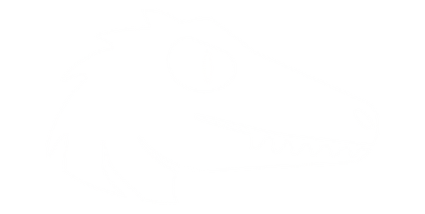 Raptoro